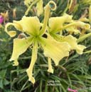 Long Arm Jurisdiction